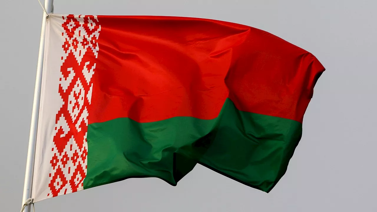 Belarus arrests activist in latest crackdown on dissent