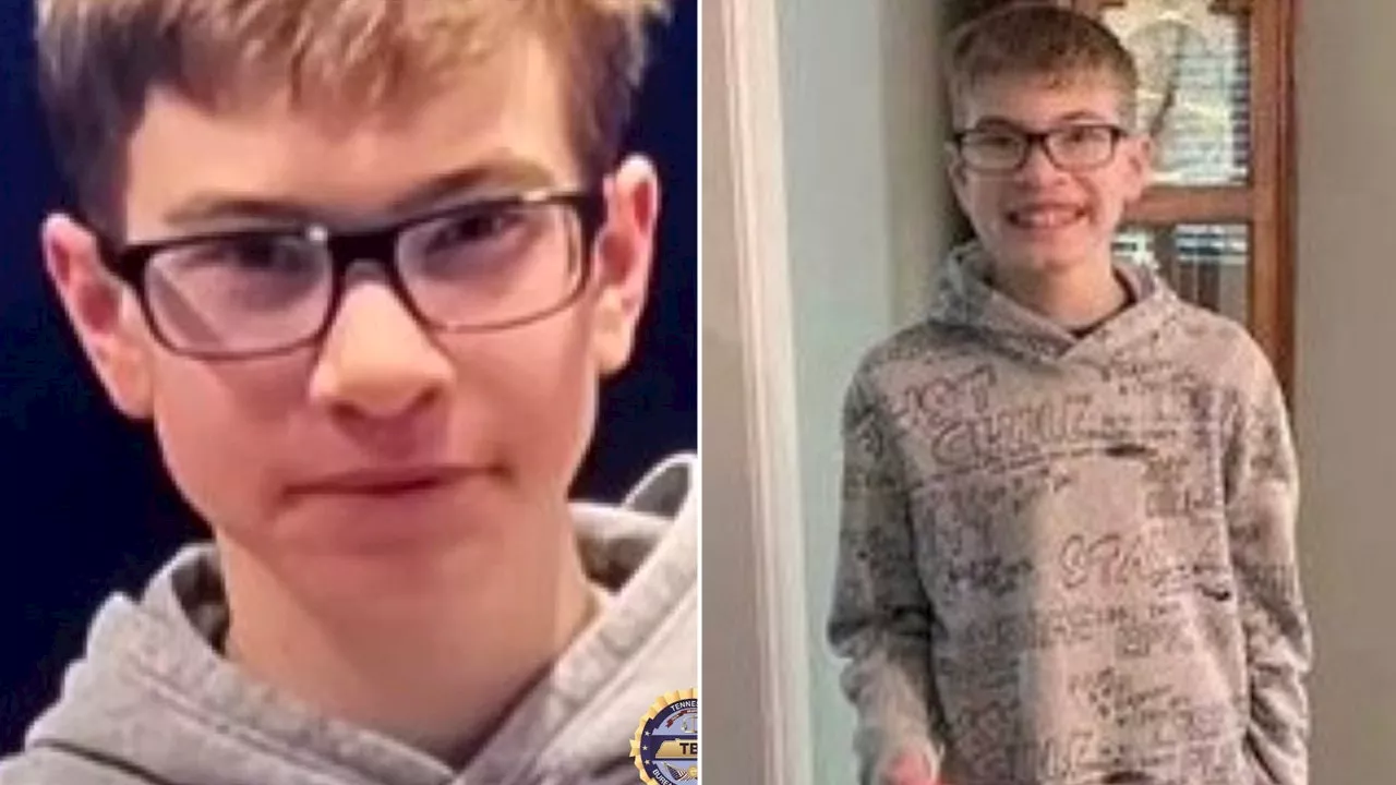 Missing Sebastian Rogers: Tennessee police say 'inaccurate' information online has caused 'distraction'