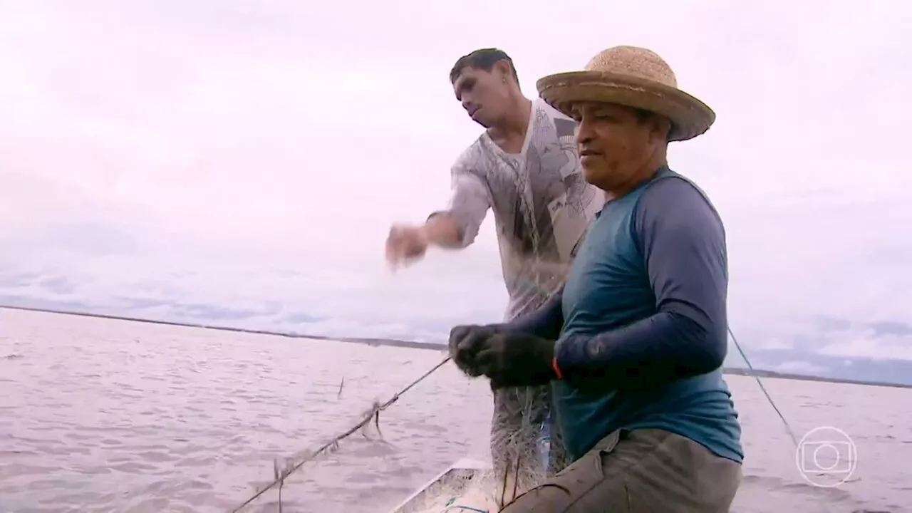 Comunidade do Amazonas volta a pescar após a pior seca em 120 anos