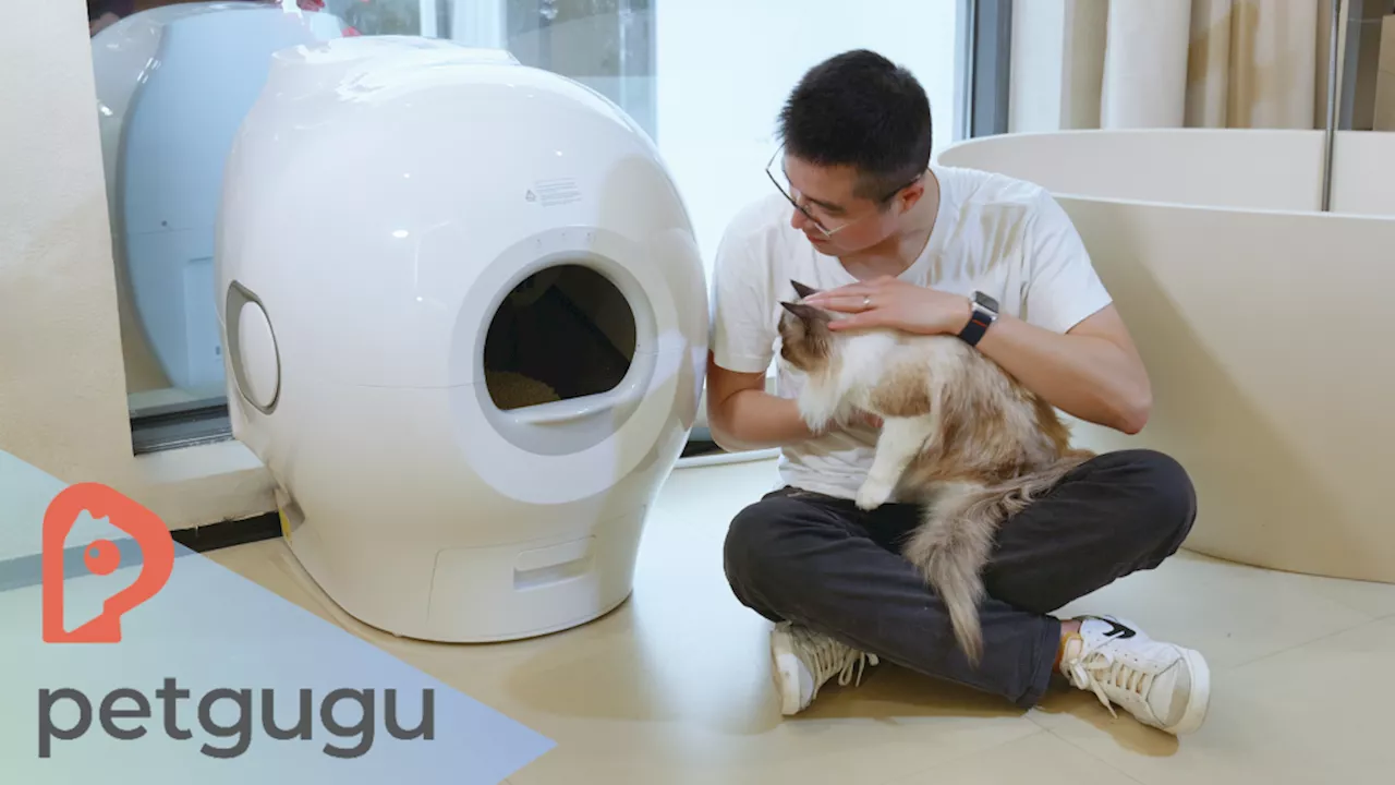 Petgugu Smart Cat Toilet Review: You Really Don’t Need to Scoop Again!