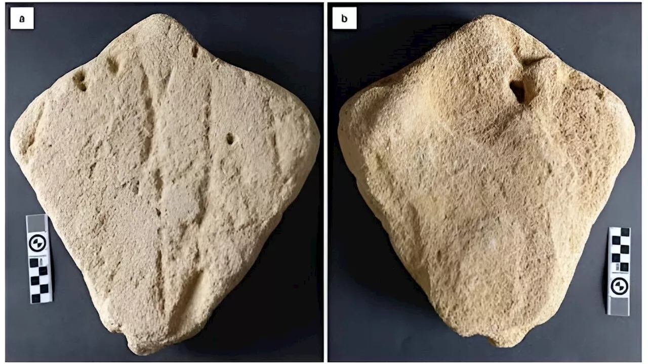 Prehistoric Kite-Shaped Rock Could Represent Oldest-Known Animal Carving