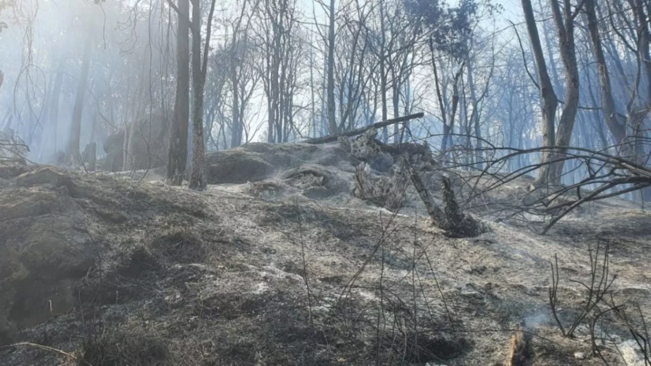 VIDEO: se registra fuerte incendio forestal en Rancho Viejo en los límites de Jilotzingo