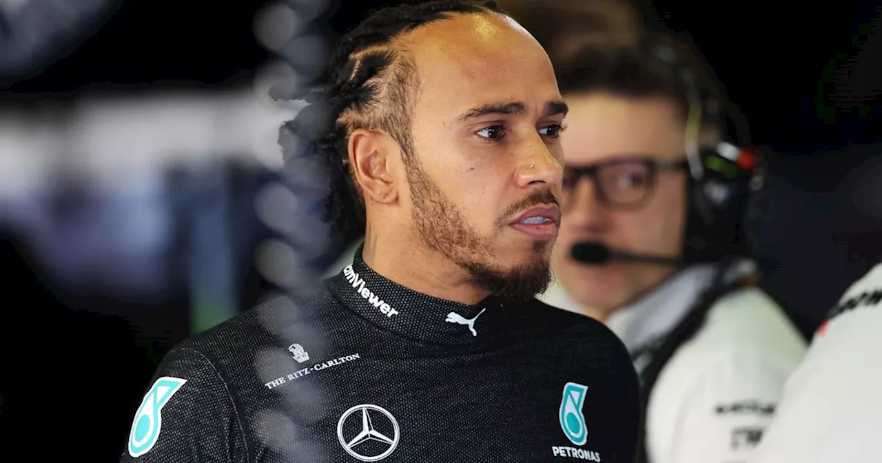 Lewis Hamilton Admits He Regrets Turning Down A Part In This Huge Oscar-Nominated Film