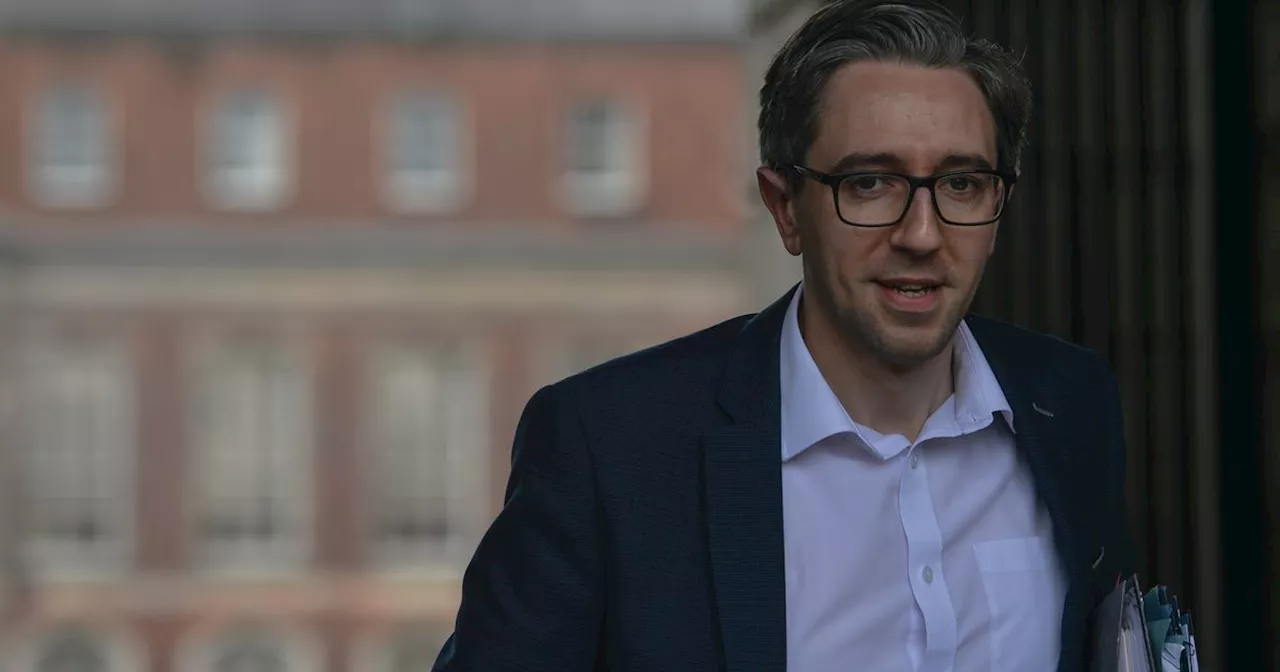 Fine Gael leader Simon Harris to meet with Independent TDs ahead of Taoiseach vote