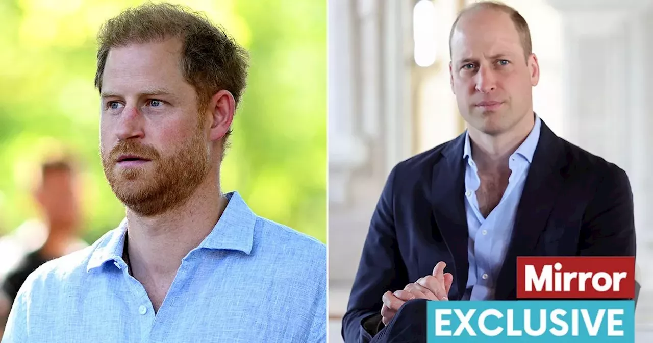 Prince Harry 'mistrusts' William's new bond with surprising 'monster' royal