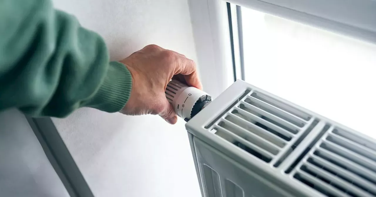 Radiator Expert Warns Against TikTok Hacks for Home Heaters