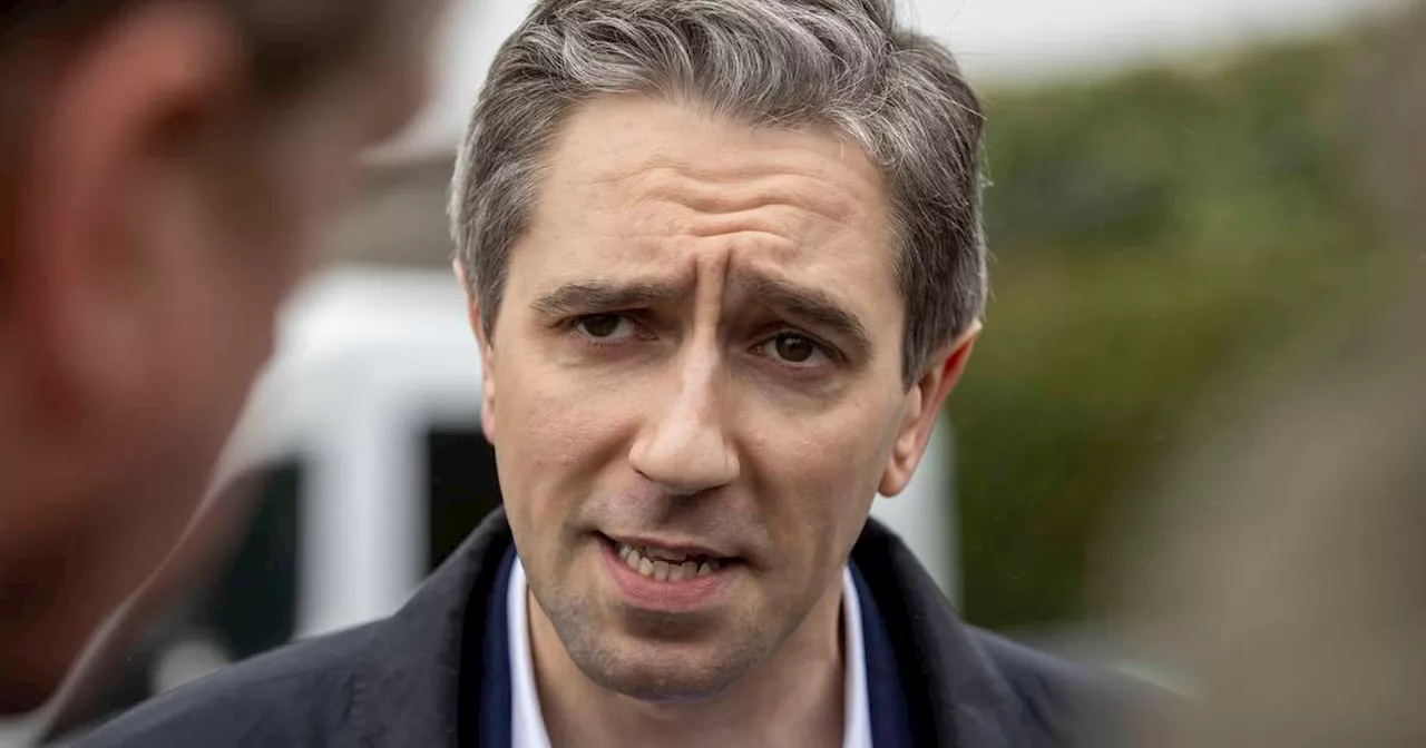 Simon Harris rules out deals with Independents in exchange for support in Taoiseach vote