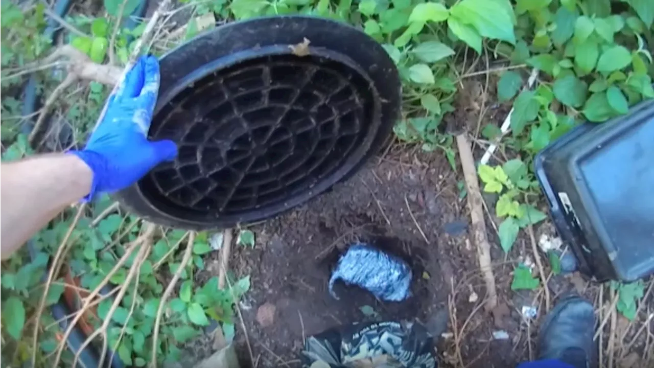 Moment Bristol police discover 1.5kg cocaine brick buried underground