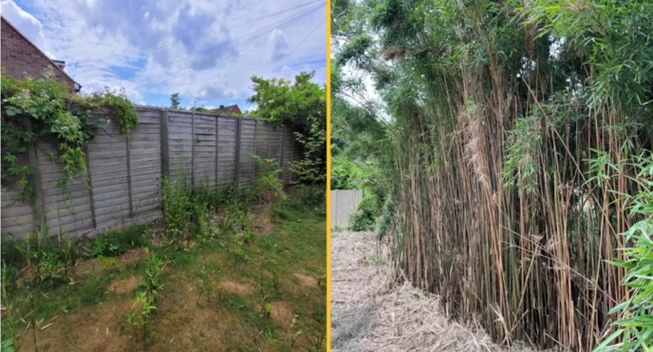 Woman immediately pulls out of buying first home after spotting 'huge red flag' in garden