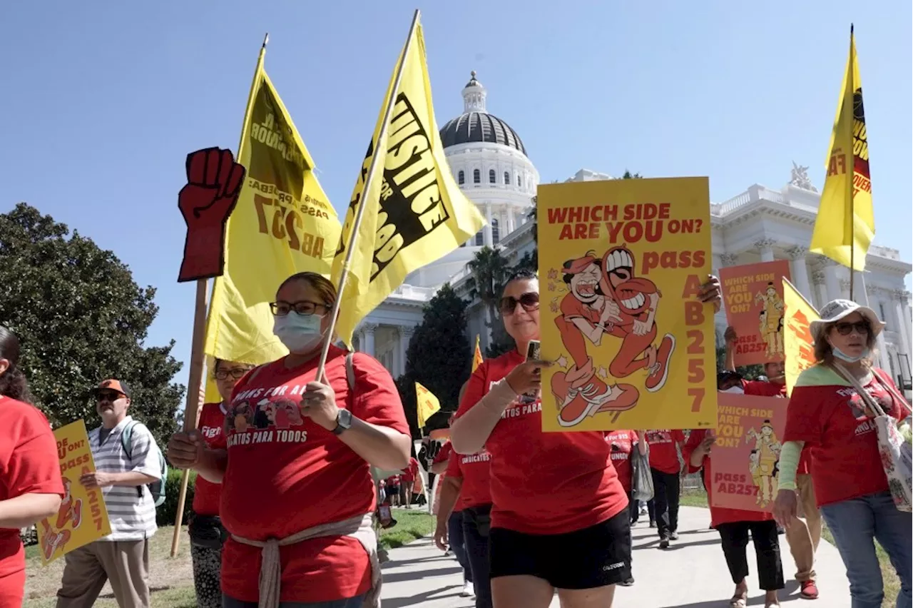 Will $20 minimum wage crush fast food in California?