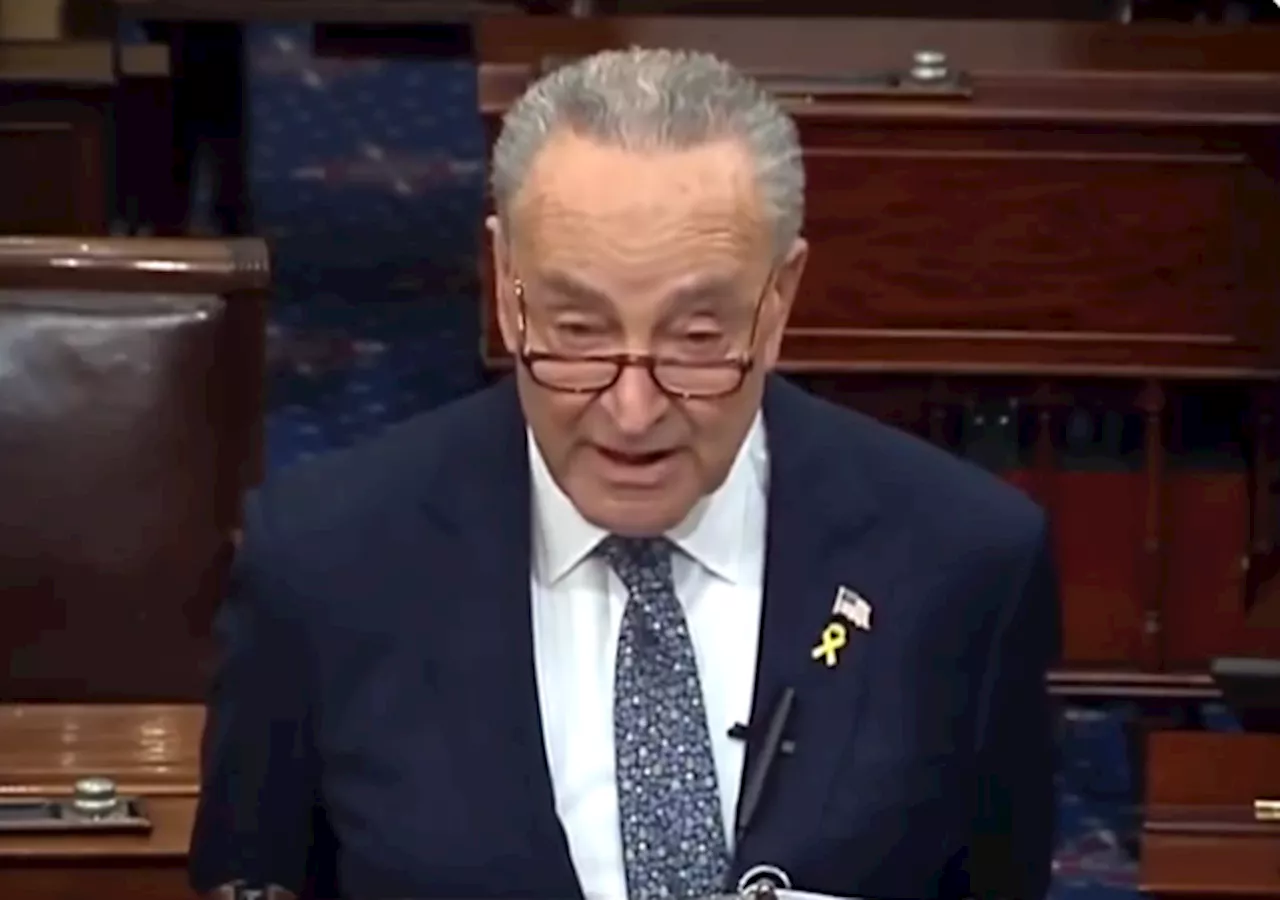 Chuck Schumer's Attacks on Israeli Democracy