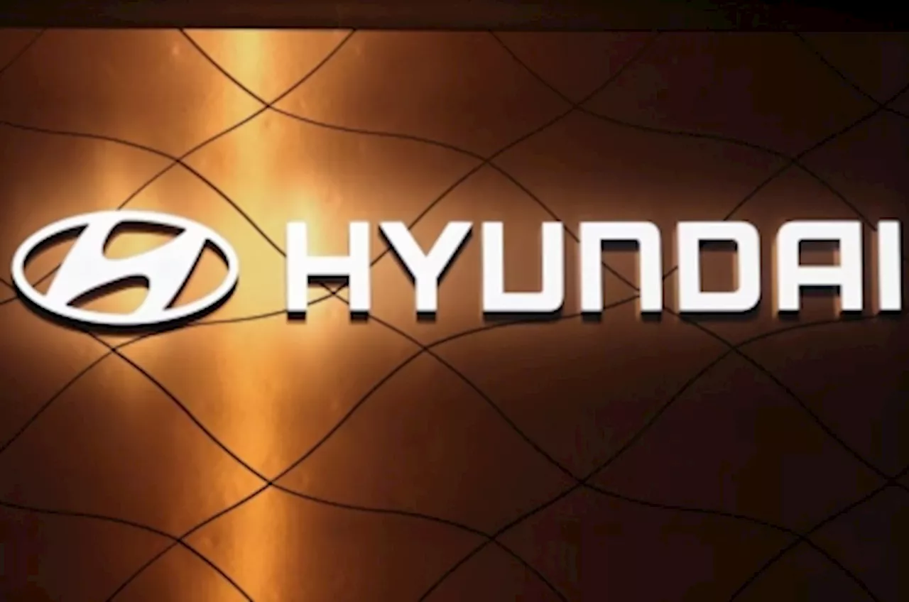 Hyundai ends aluminium supply agreement with Indonesian firm after climate campaign