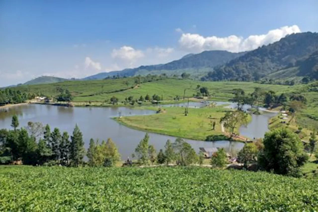 3 Rekomendasi Tempat Wisata di Puncak Bogor, Cocok untuk Healing dengan Keluarga