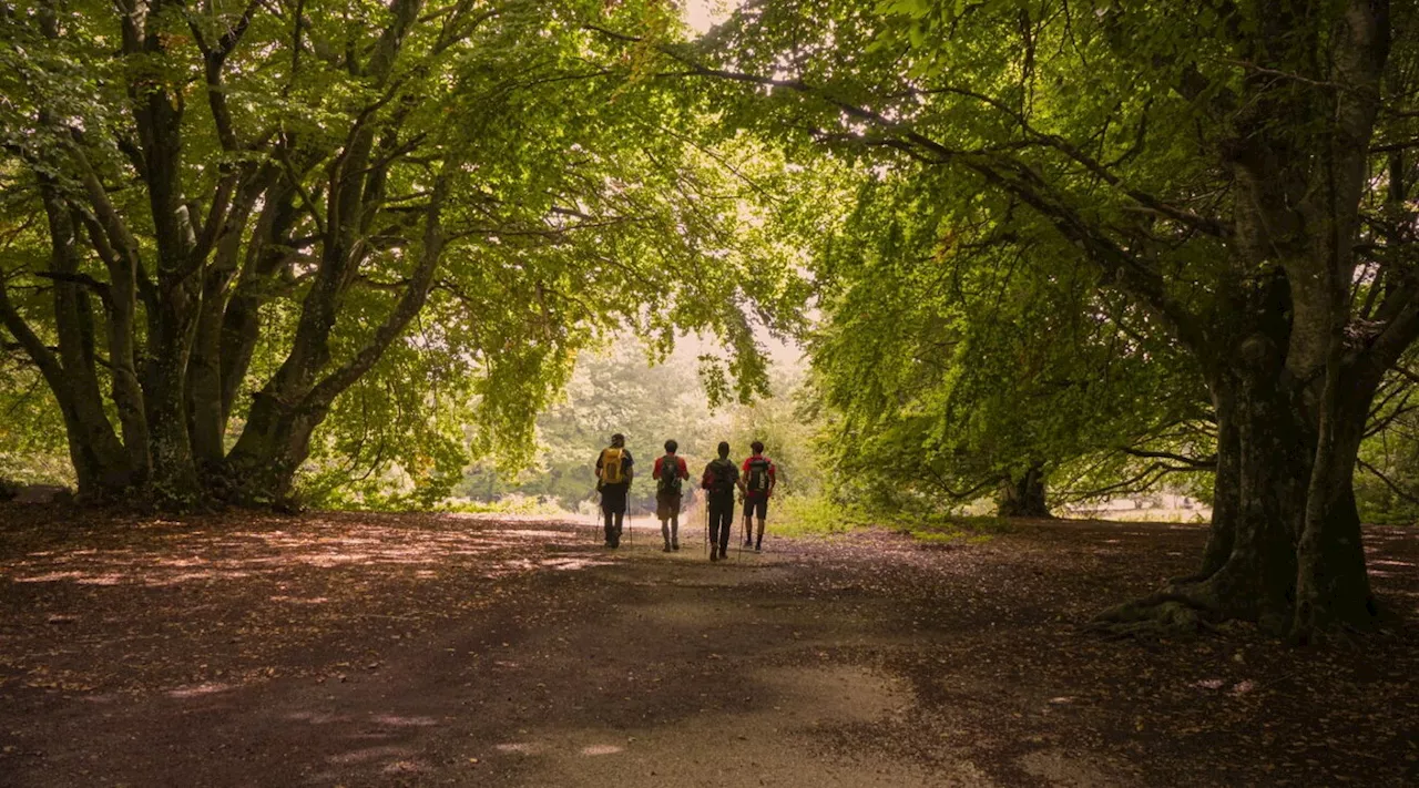 Cammini Aperti: passeggiare nella storia in tutte le regioni