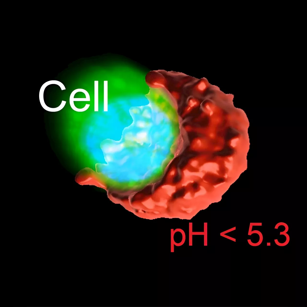 Researchers Discover Protective 'Acid Wall' Formed by Cancer Cells