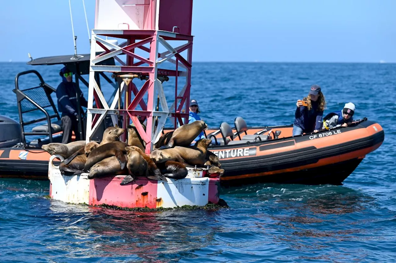 Plans for virtual buoys to replace some markers outside California harbors raised concerns