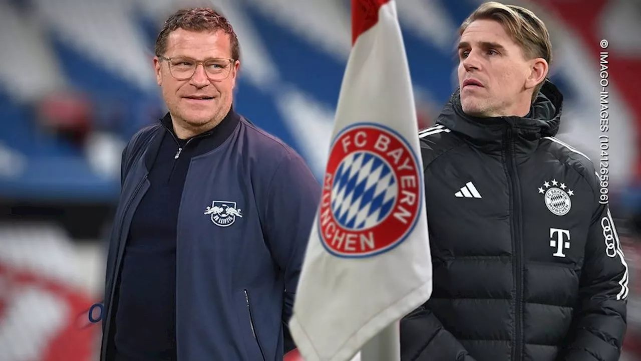 Effenberg rät Führich von Wechel zum FC Bayern ab