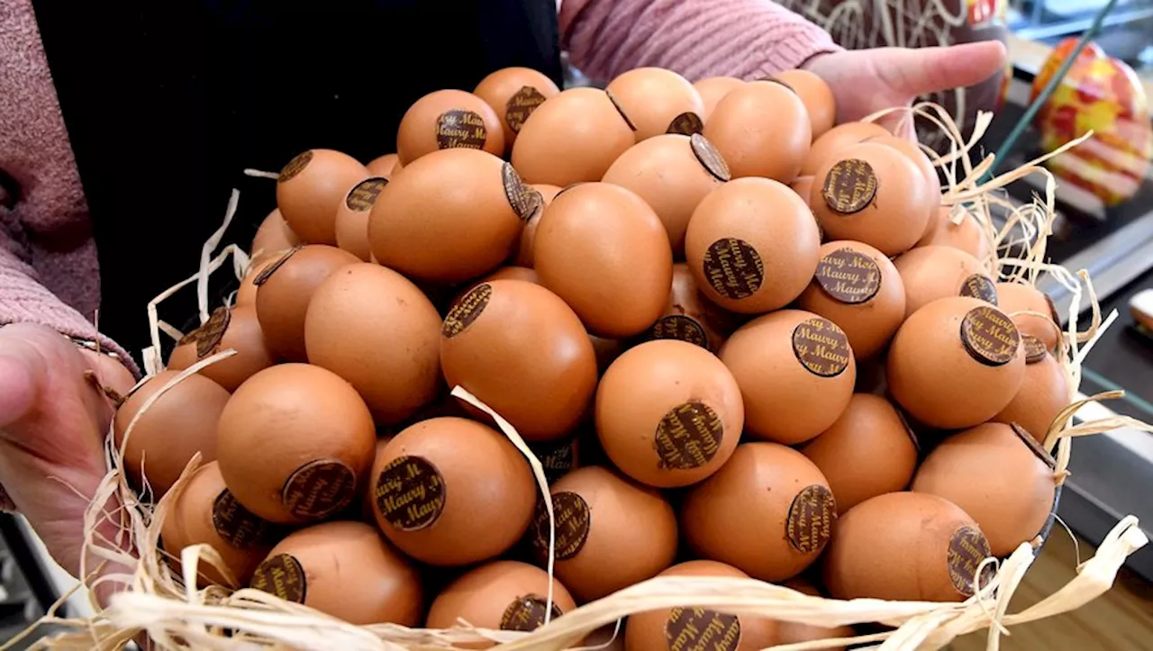 Activités pour la jeunesse, marché et pétanque à Agde