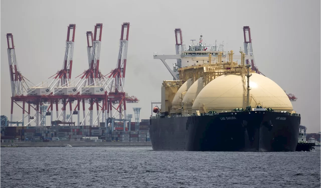 The global gas glut could reach multi-decade highs in the coming years, Morgan Stanley says