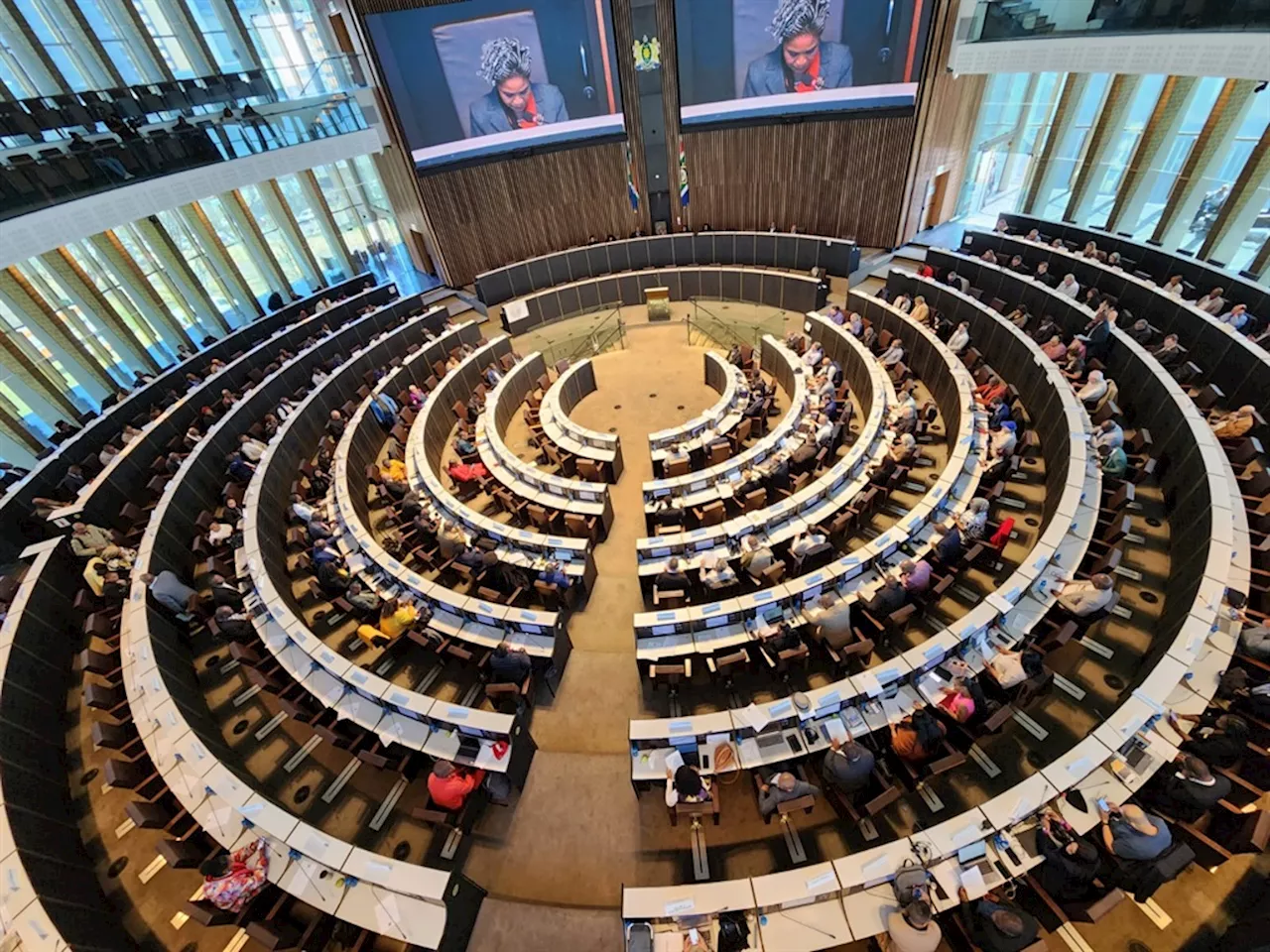 'We want VIP security': Joburg councillors vote for easy access to bodyguards