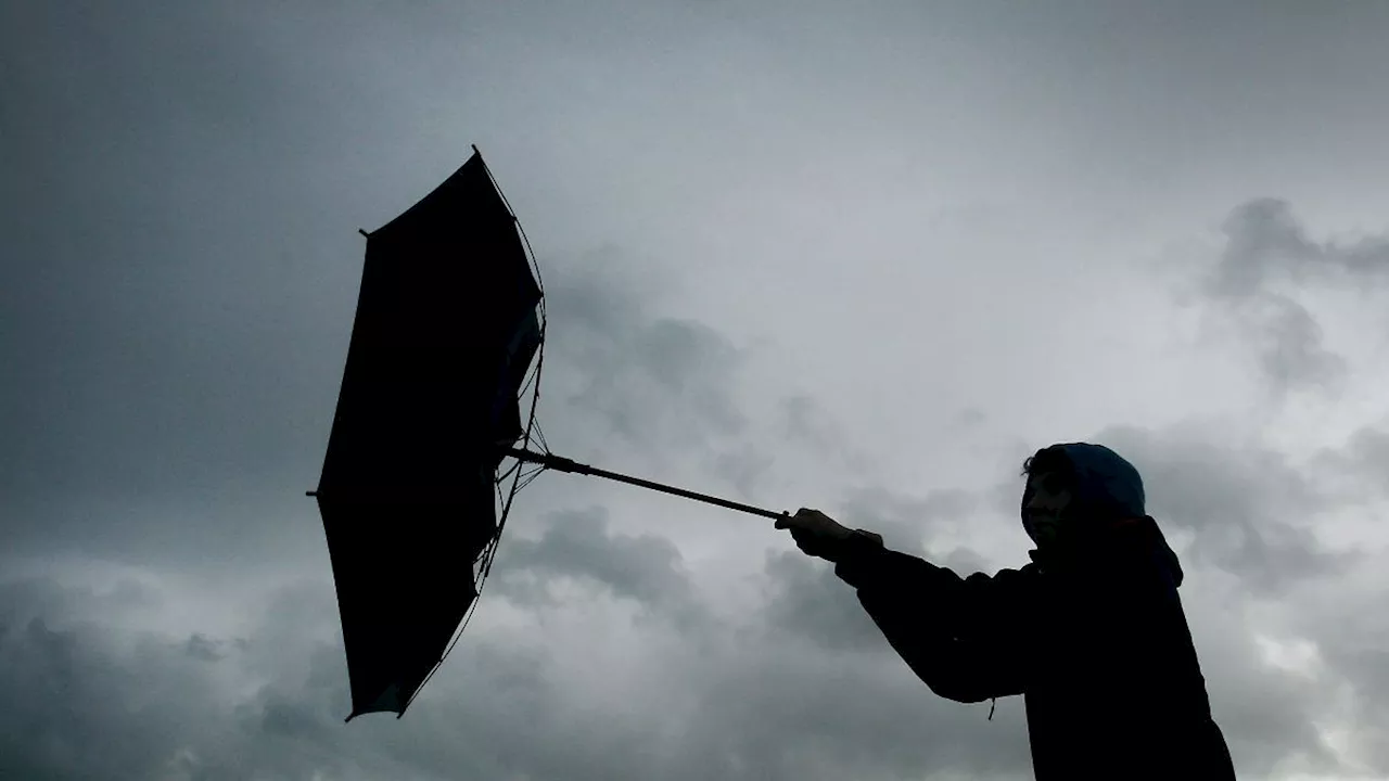 Hamburg & Schleswig-Holstein: Stürmisches Wetter in Hamburg und Schleswig-Holstein