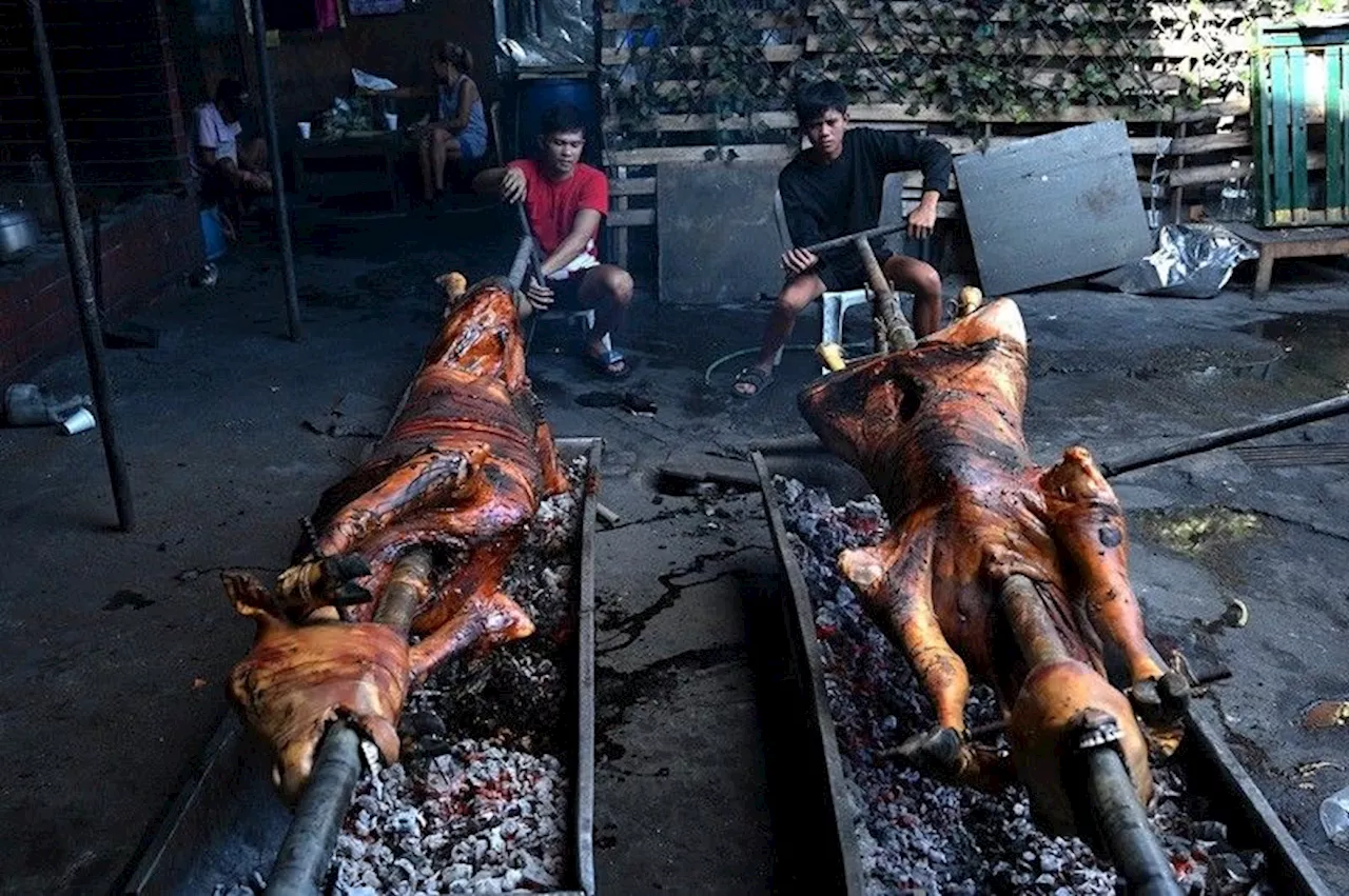 2 bayan sa Marinduque 'state of calamity' sa rabies; mga baboy at baka apektado