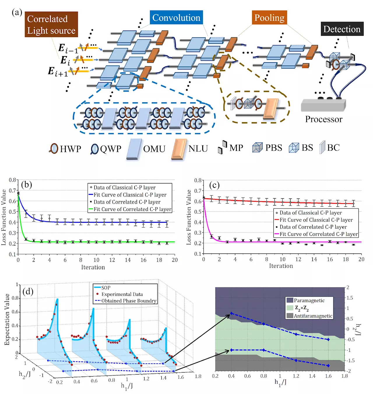 Classical optical neural network exhibits 'quantum speedup'
