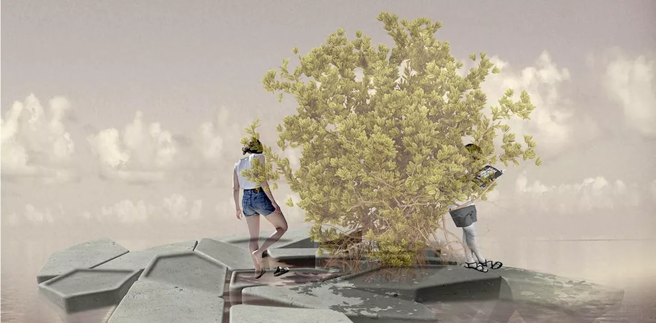 Ocean forests: How 'floating' mangroves could provide a broad range of ecological and social benefits