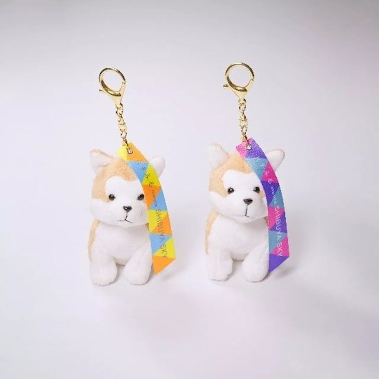 大人気のマスコットキーホルダーが「SHIBUYA SKY SOUVENIR SHOP」×「ハチふる SHIBUYA meets AKITA」のスペシャルコラボデザインで登場！