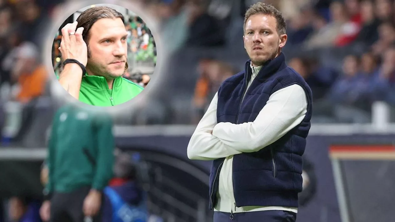 Torsten Frings in der ran Bundesliga Webshow: Nagelsmann Tuchel-Nachfolger beim FC Bayern? 'Kann sich schnell verbrauchen'