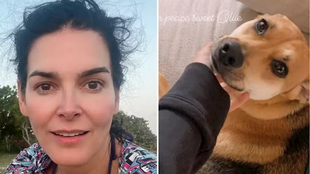 Atriz Angie Harmon denuncia morte de seu cachorro por entregador de comida