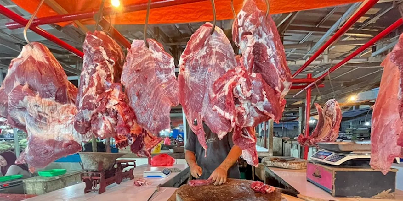 Harga Daging Sapi di Pasar Modern Turun, DKI Jakarta Termahal