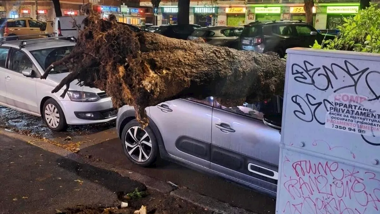 Alberi caduti a Roma, a Marconi crollo su un'auto parcheggiata