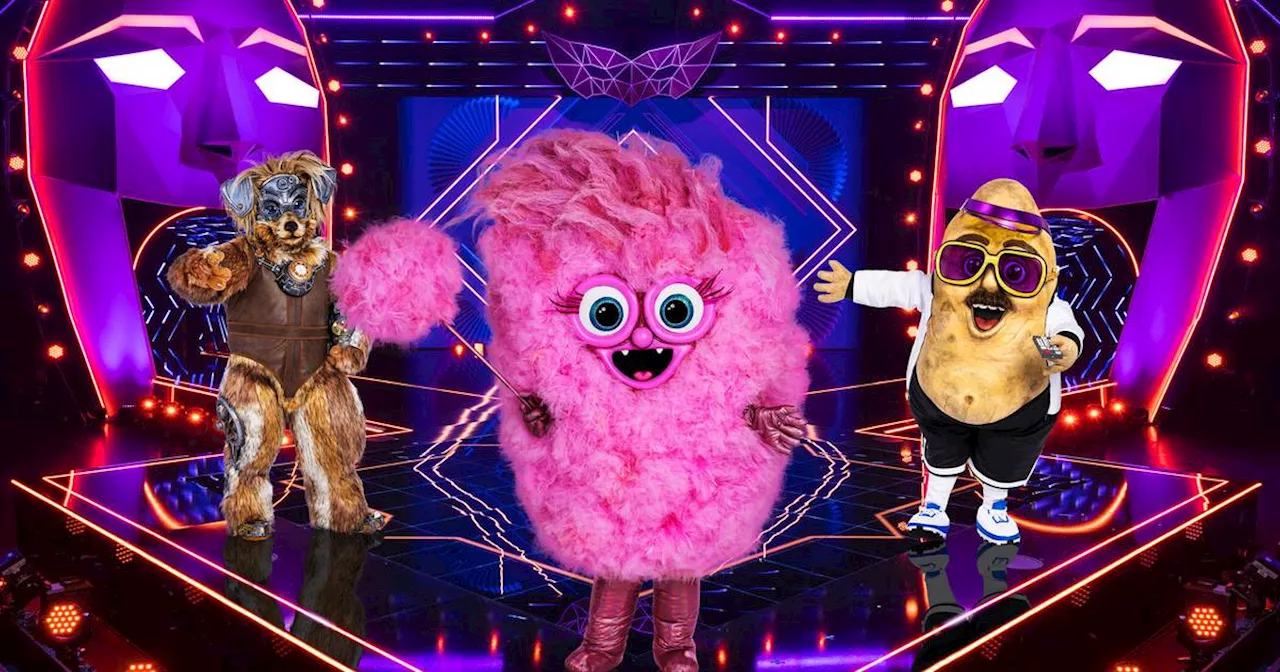 Masked Singer 2024: Das sind die Veränderungen in der neuen Staffel