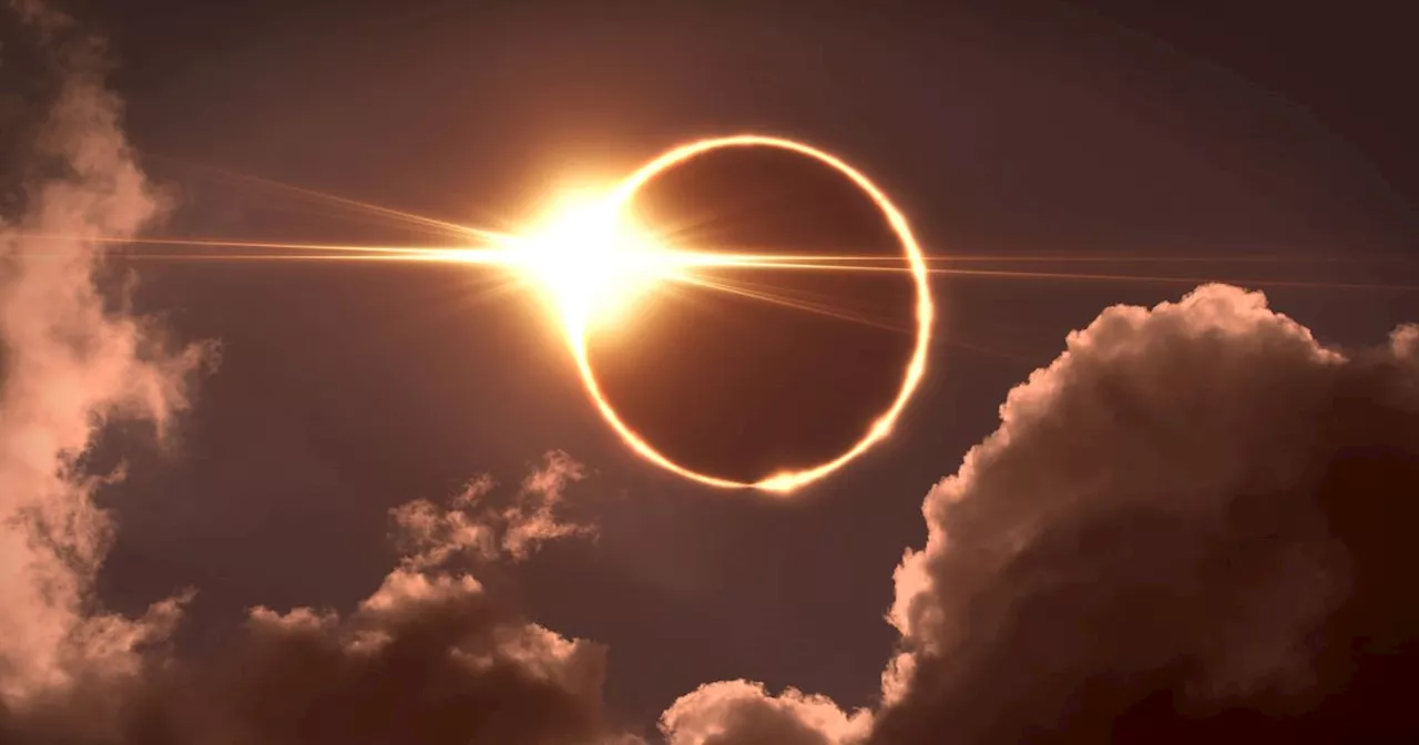 Solar Eclipse 2024 warning as pet owners told to be 'extra vigilant'