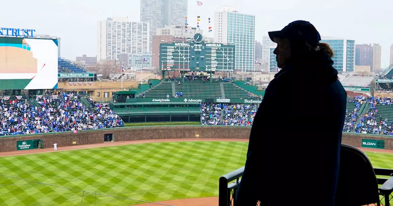 Cubs' Shota Imanaga dominates Rockies in his MLB debut