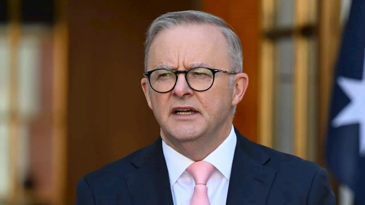 Anthony Albanese demands Israel 'thoroughly' investigate aid worker deaths