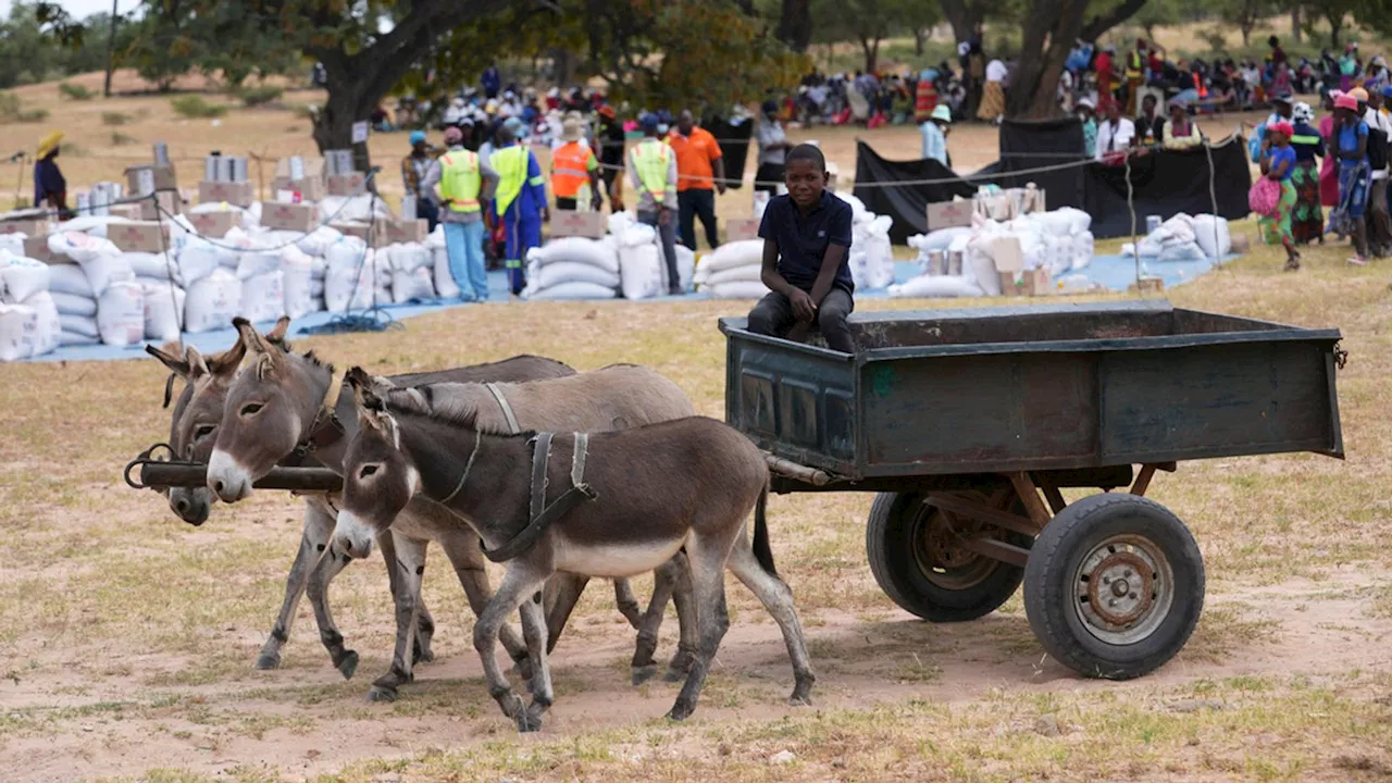 Zimbabwe Faces National Disaster as Drought Leaves Millions Hungry