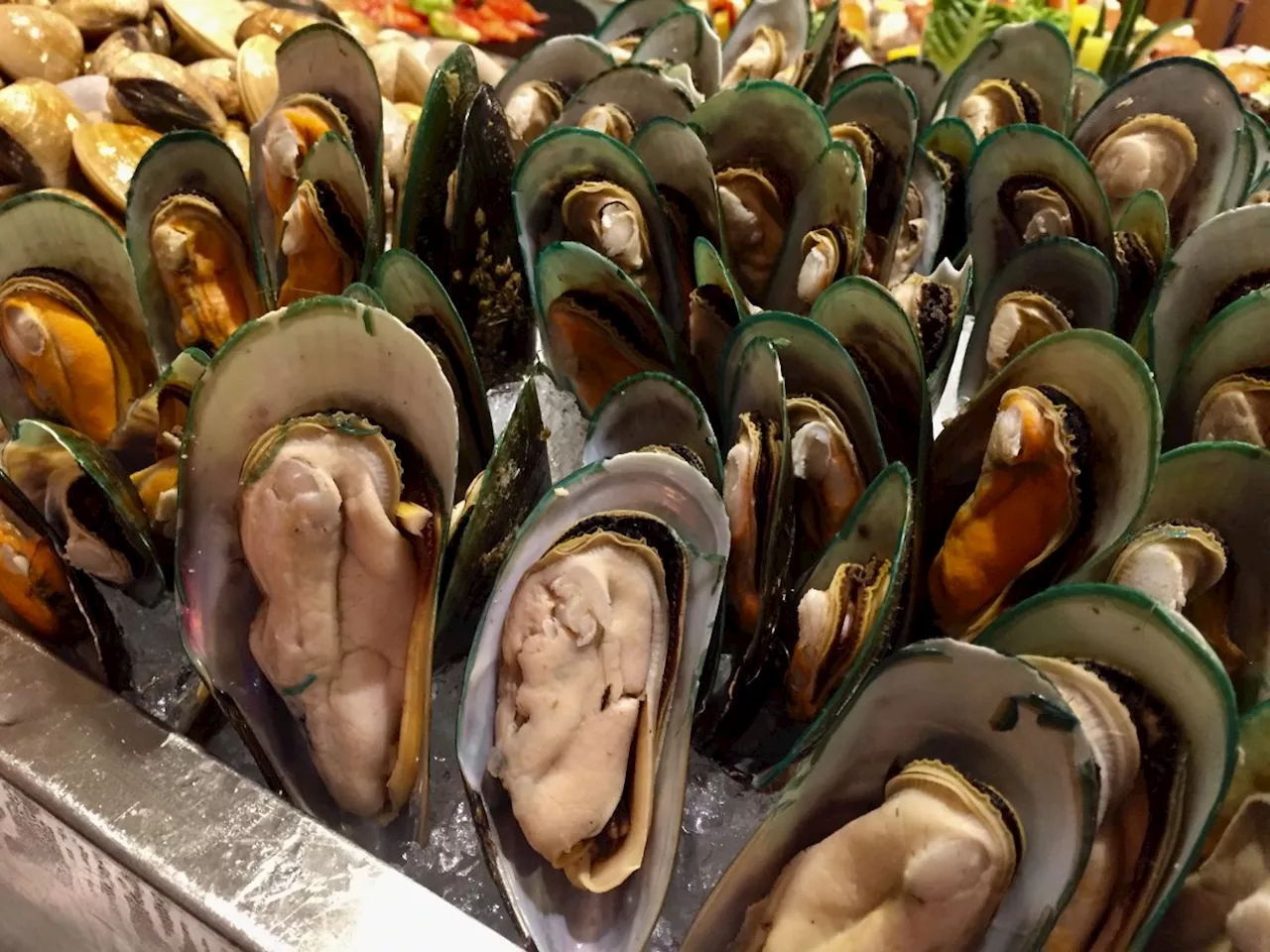 Eight sick from eating mussels in PD, two in intensive care