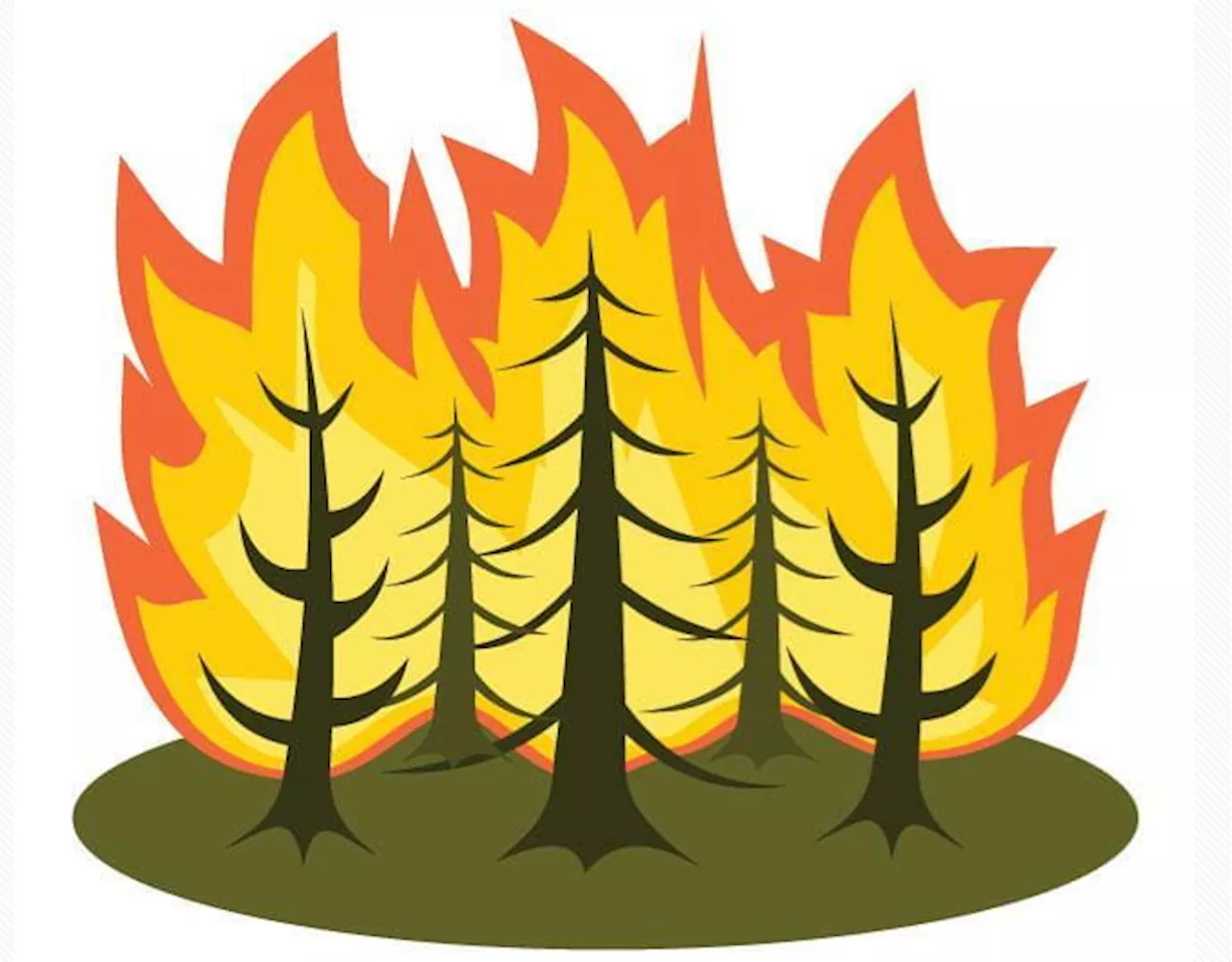 Forest Fire Season Begins in Northern Ontario