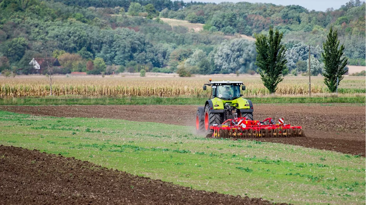 Künftig Naturerbe statt Acker?: Bauern aus Brandenburg reagieren entsetzt auf Flächenpläne des Bundes