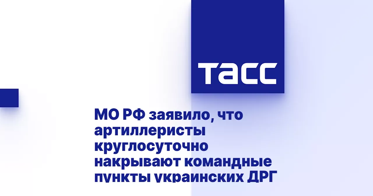 МО РФ заявило, что артиллеристы круглосуточно накрывают командные пункты украинских ДРГ