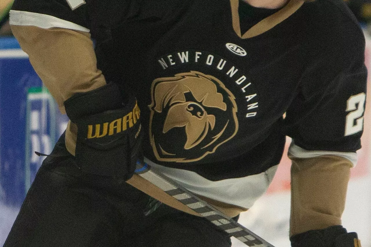 Maple Leafs’ ECHL affiliate Newfoundland Growlers cease operations immediately
