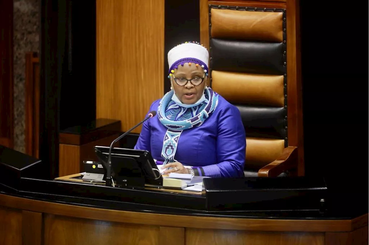 BREAKING : Mapisa-Nqakula’s Pretoria High Court bid to stop arrest dismissed