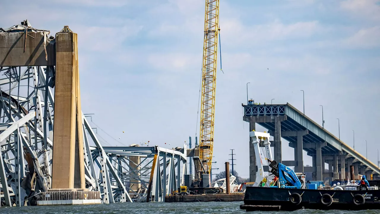 Eight US bridges at risk of collapse similar to Francis Scott Key Bridge