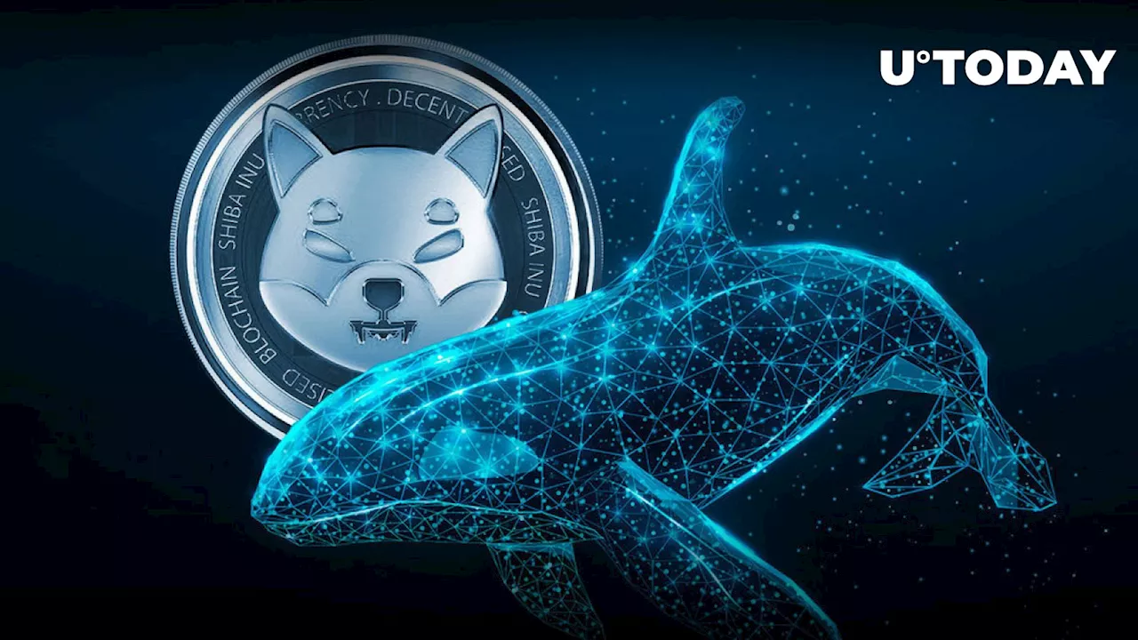 Worldcoin Whale Suddenly Absorbs Billions of Shiba Inu (SHIB)