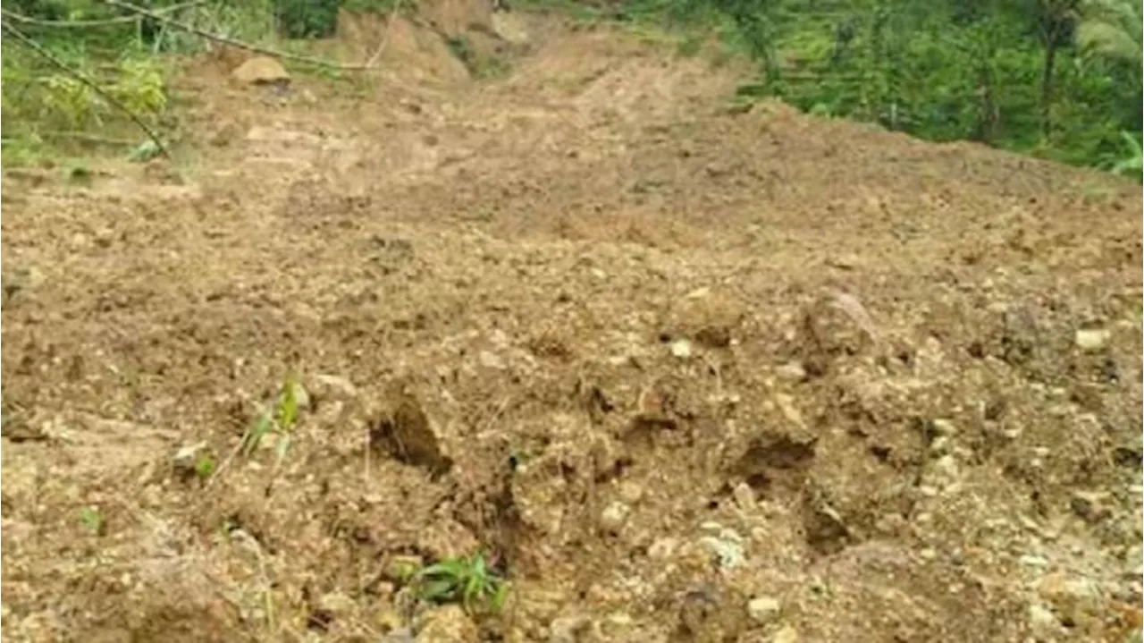 Viral Detik-detik Pria Selamat dari Timbunan Tanah Longsor, Telat Sedikit Nyawa Tak Tertolong