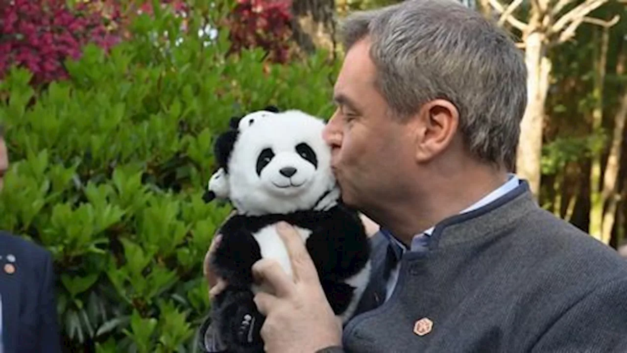 Pandas als Markenbotschafter und Verleih nach USA