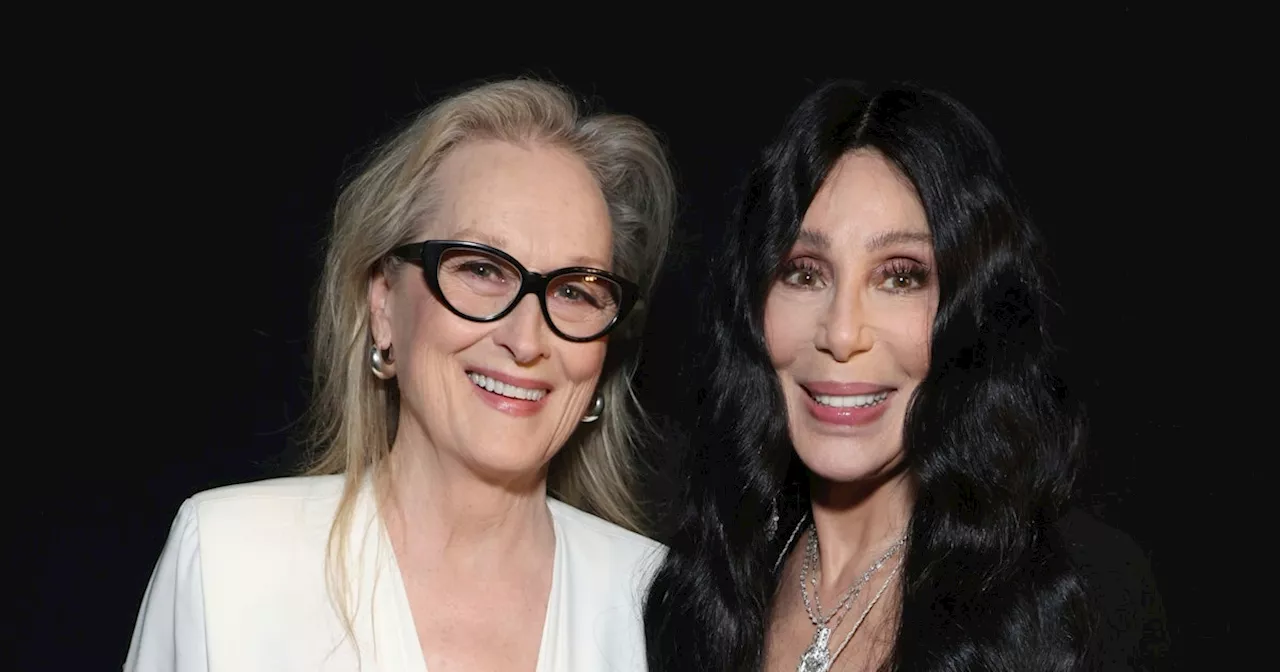 Cher & Meryl Streep Both Rewore Their Old Clothes To An Awards Show