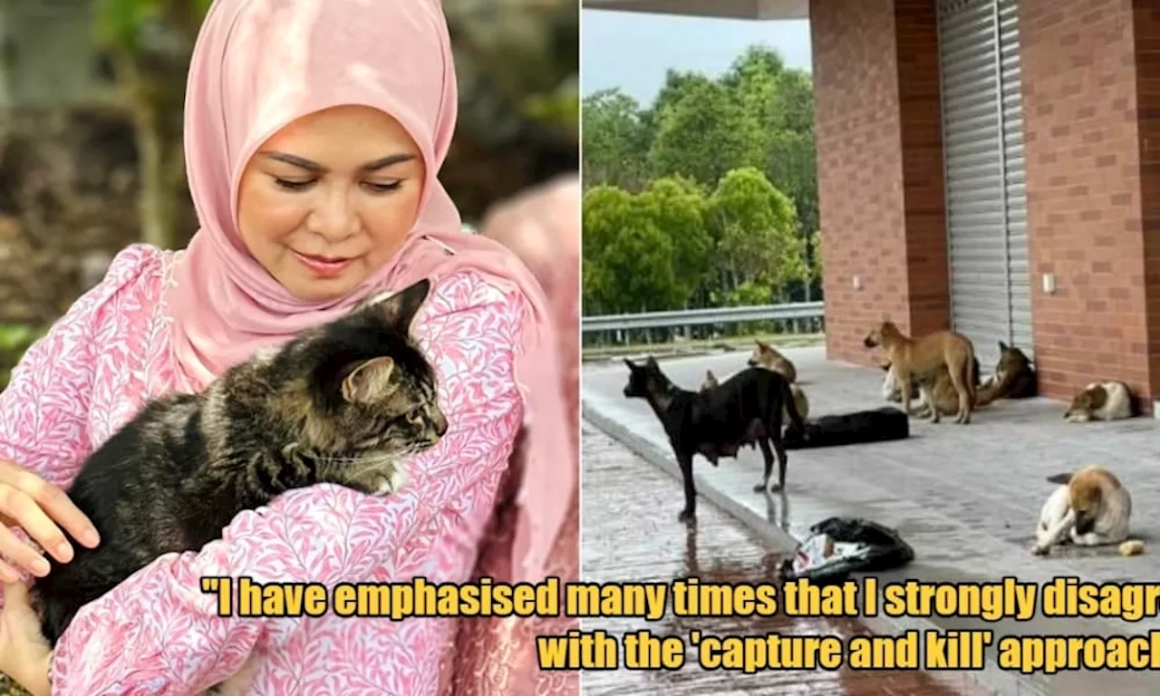 Selangor Queen Unhappy Over MBSA's Task Force to Capture an Estimated 500 Stray Dogs